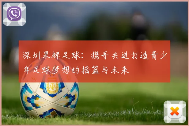 深圳果辉足球：携手共进打造青少年足球梦想的摇篮与未来