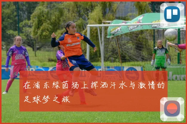 在浦东绿茵场上挥洒汗水与激情的足球梦之旅