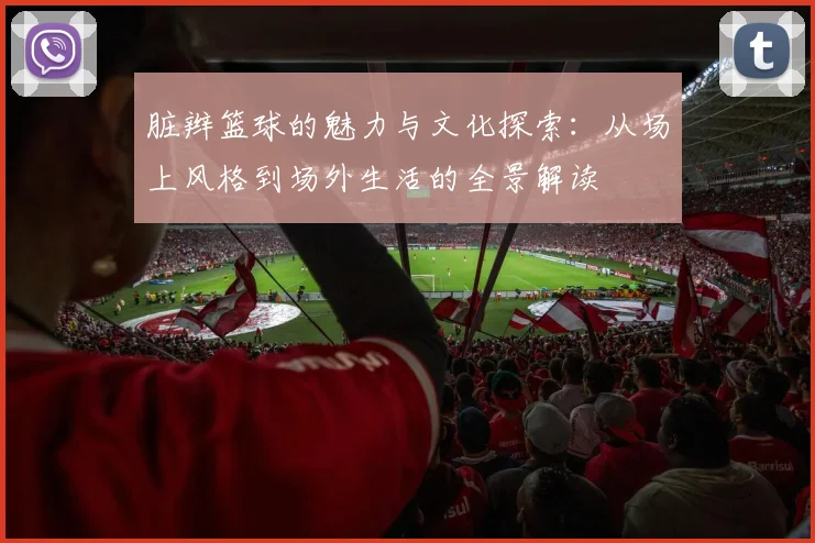 脏辫篮球的魅力与文化探索：从场上风格到场外生活的全景解读