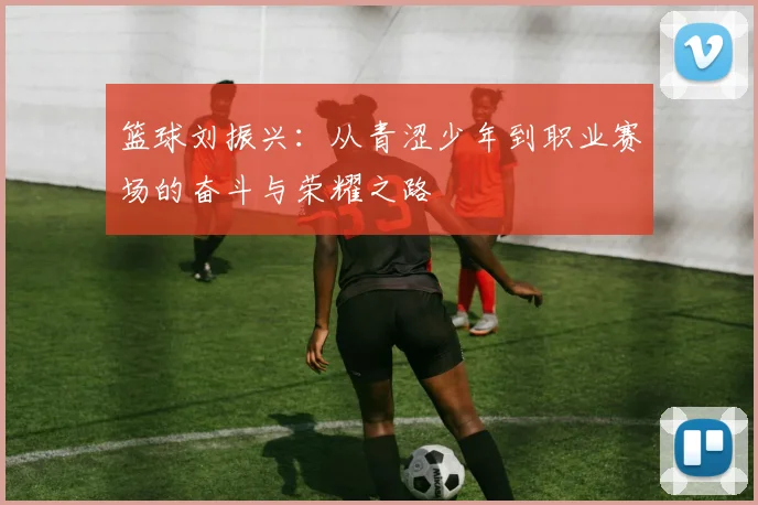 篮球刘振兴：从青涩少年到职业赛场的奋斗与荣耀之路