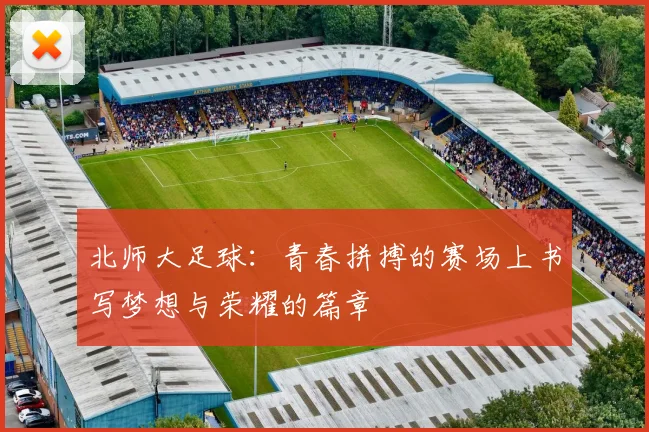 北师大足球：青春拼搏的赛场上书写梦想与荣耀的篇章