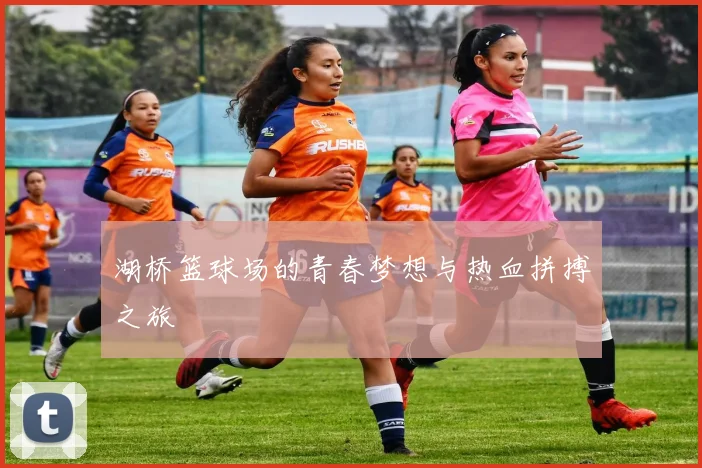 湖桥篮球场的青春梦想与热血拼搏之旅