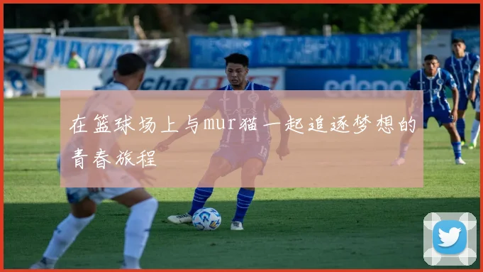 在篮球场上与mur猫一起追逐梦想的青春旅程