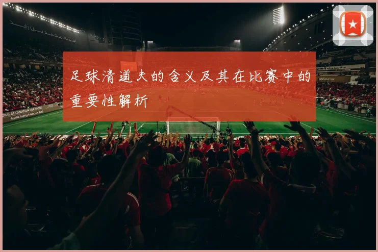 足球清道夫的含义及其在比赛中的重要性解析